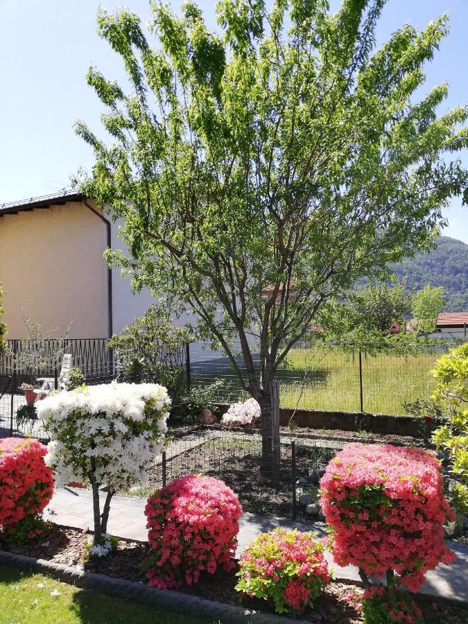La Rosa Rossa Cambiasca Exterior foto
